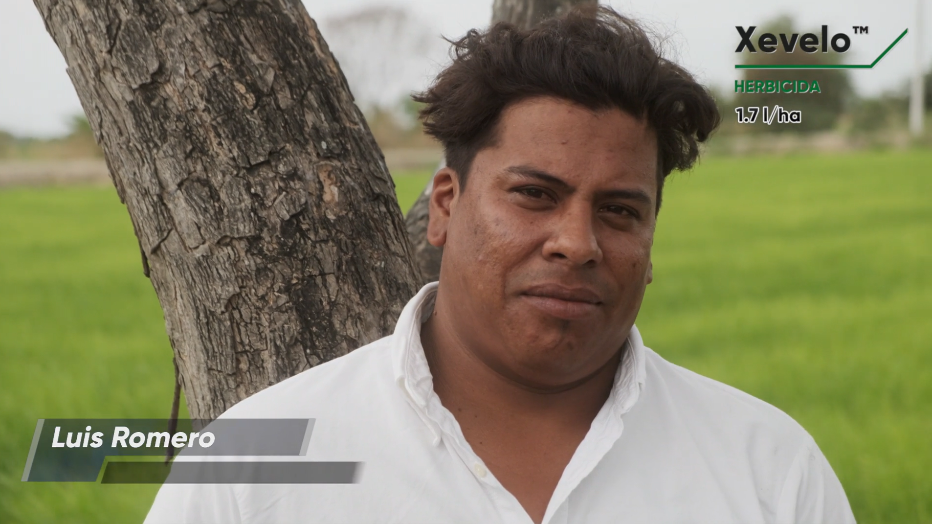 Xevelo - Luis Romero